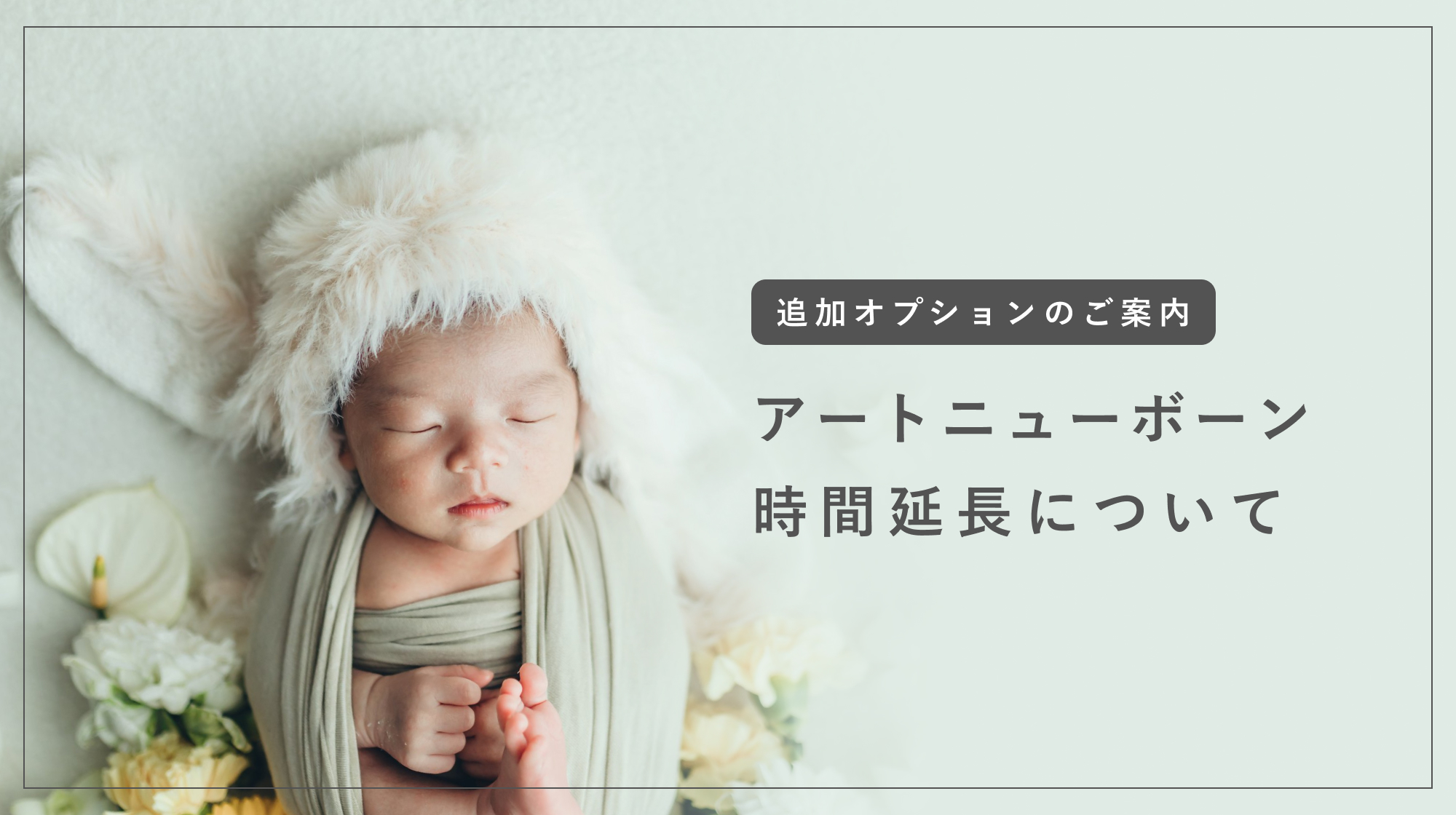 アートニューボーンプラン"時間延長オプション"のご案内