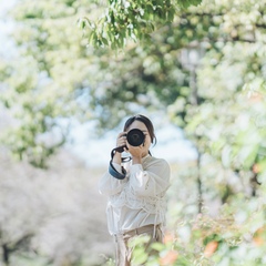 カメラマン ひよこ