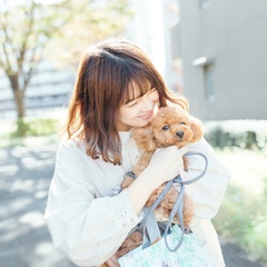 カメラマン chamo