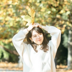 カメラマン ちゃんこま