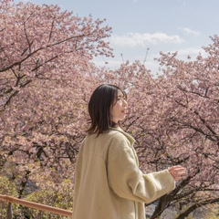 カメラマン halena