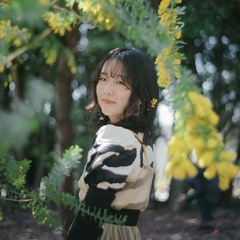 カメラマン きらり