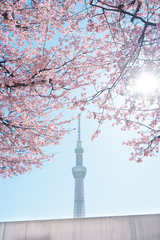 カメラマン みのの