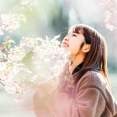 カメラマン ももたろ