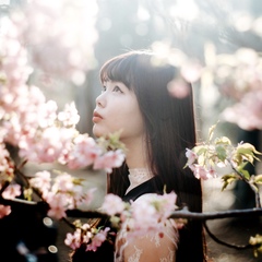 カメラマン なお