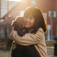 カメラマン さーちゃん/プロヴァンス地方