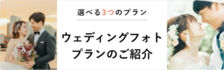 ドレスプラン紹介