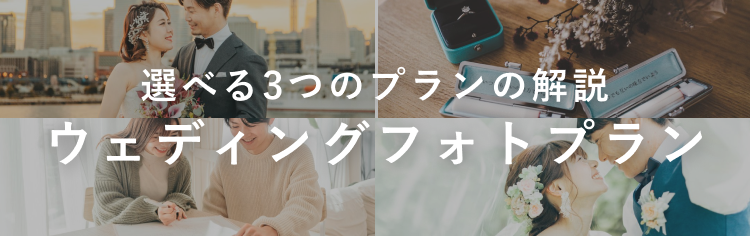 ドレスプラン紹介