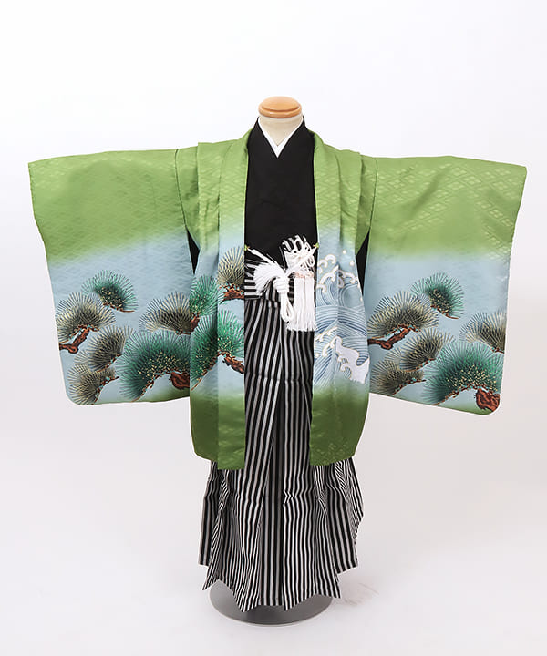 七五三(五歳) |緑地に松と鶴文様