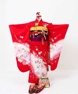 七五三(七歳) | 正絹 赤地に白暈しと桜吹雪