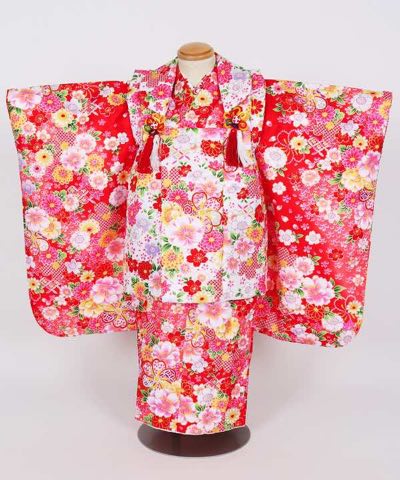 七五三(三歳) | 赤地に咲き誇る桜と菊 豪華白被布