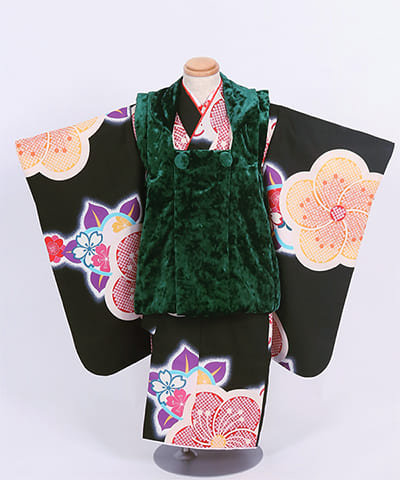 七五三(三歳)｜深緑地に大輪の梅とベルベット被布