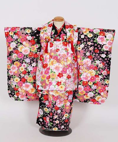 七五三(三歳) | 黒地に咲き誇る桜と菊 豪華白被布