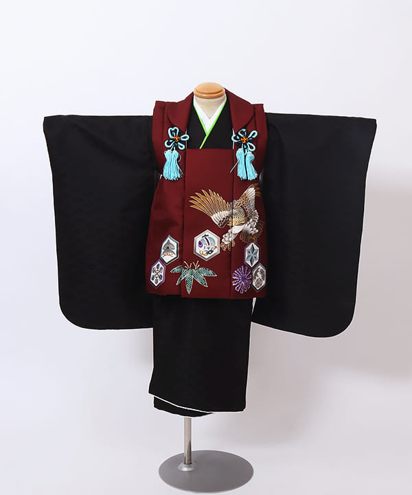 七五三（三歳男の子）| えんじ色の被布に鷹と縁起模様