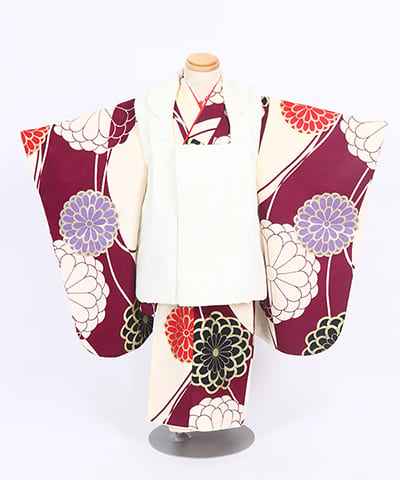 七五三(三歳) | レトロなクリーム地に大輪の菊 白い無地の被布