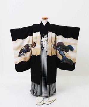 七五三(五歳) | 黒時に雲取り 松に地紙と大鷹(5B-22)