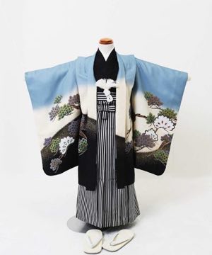 七五三(五歳) | 水色に暈しと松 大鷹