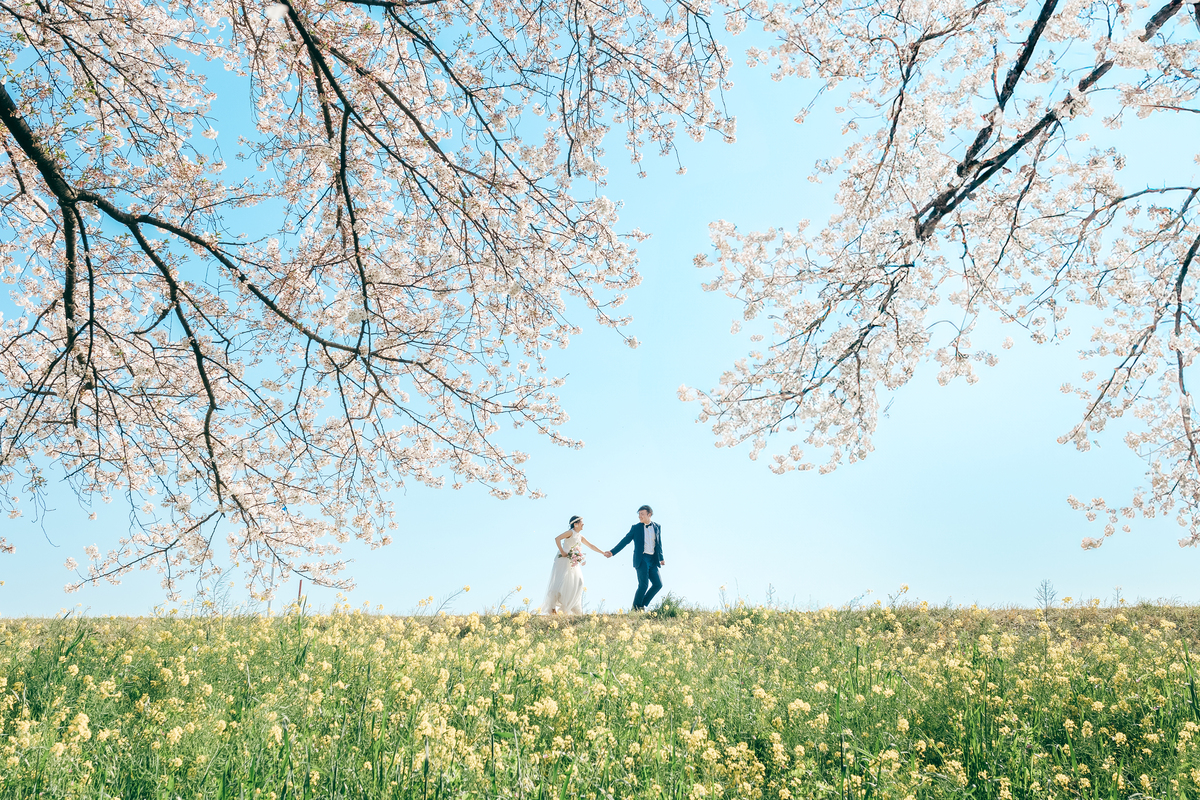 レタッチ後写真