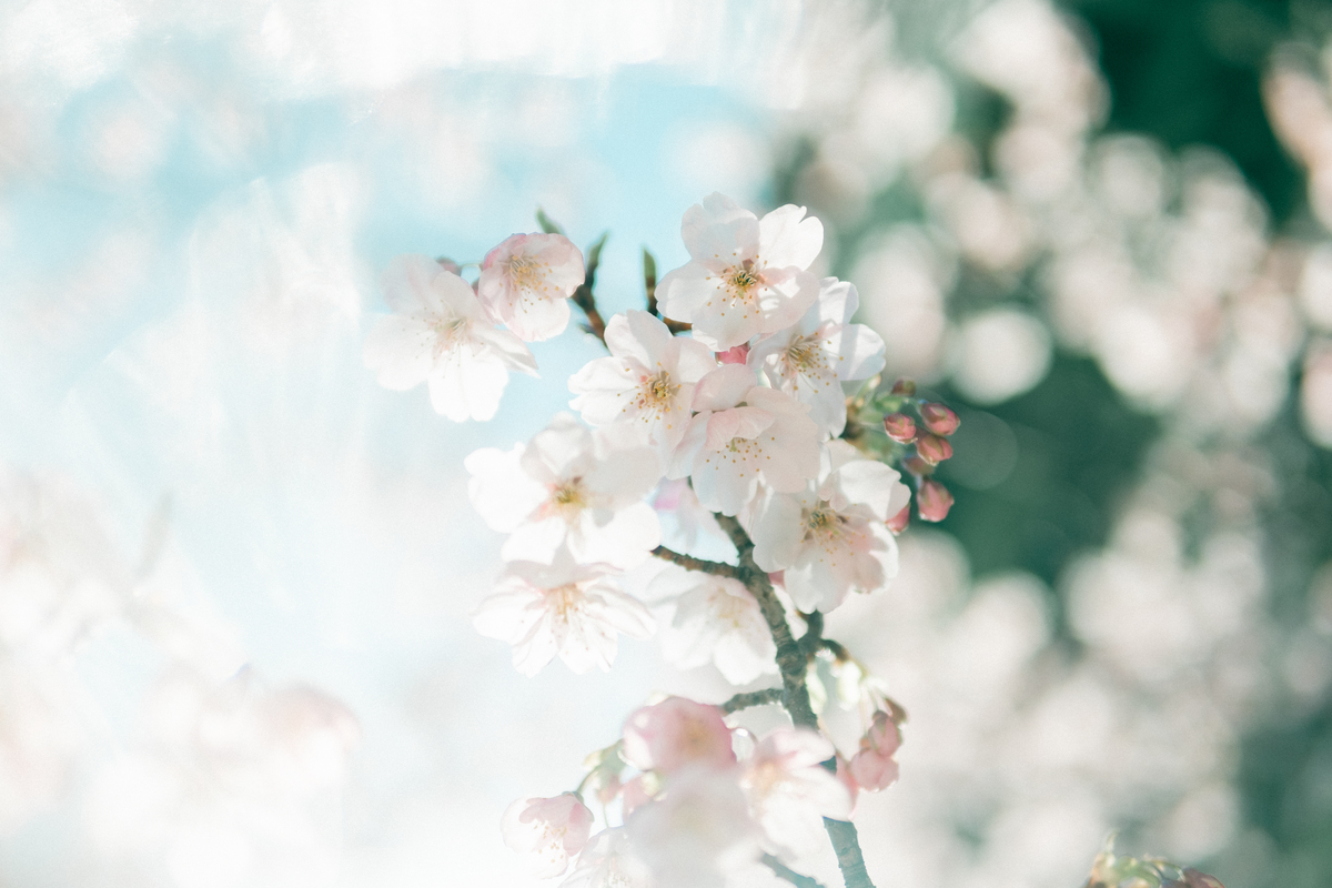 レタッチ後写真