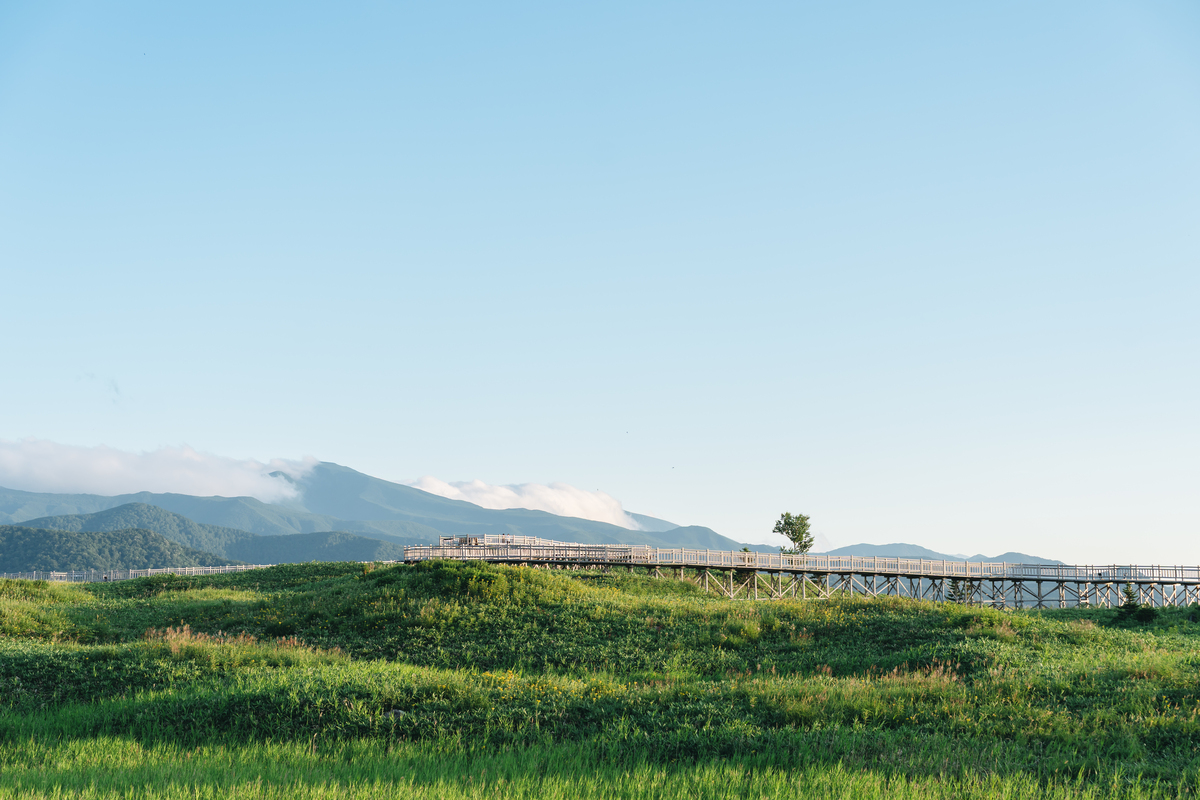 レタッチ後写真