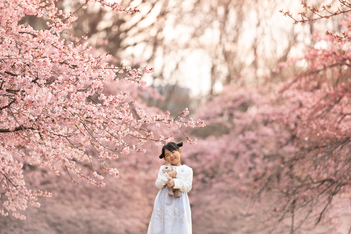 プリセット「YUKiCHi Preset「Sakura」（桜の撮り方・レタッチ解説動画