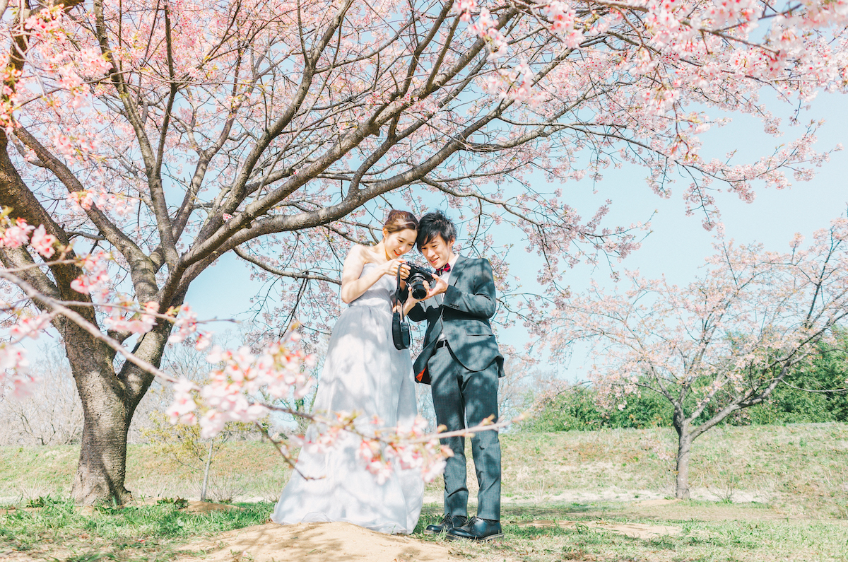 プリセット写真概要