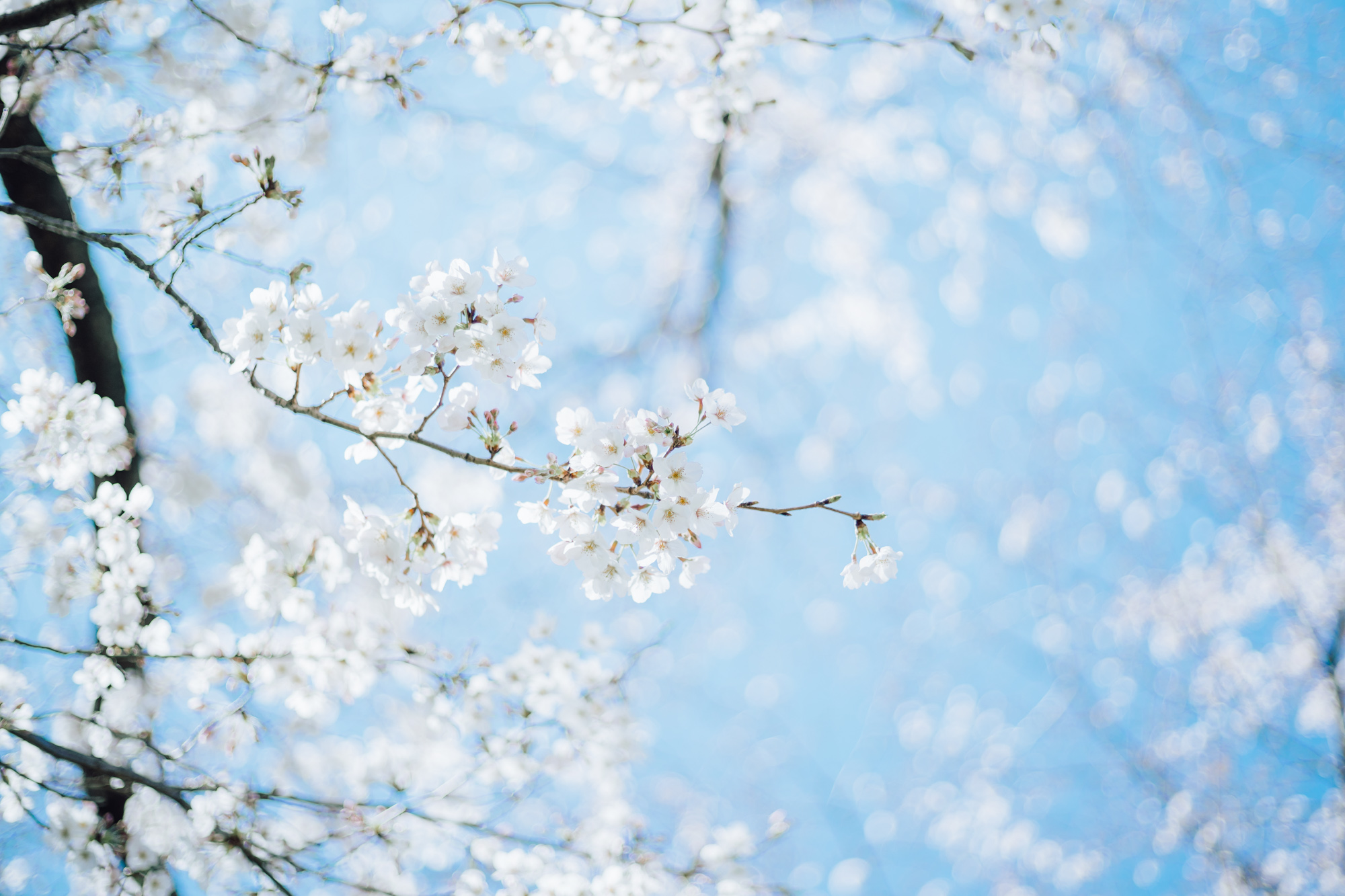 レタッチ後プリセット写真3