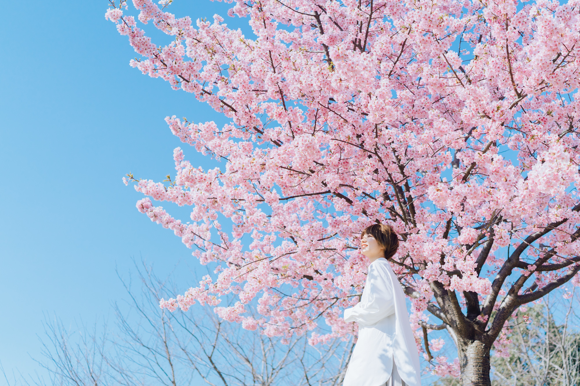 レタッチ後プリセット写真5